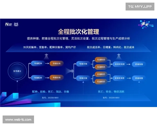 职业联盟与管理部门协同机制优化助力行业高效运行
